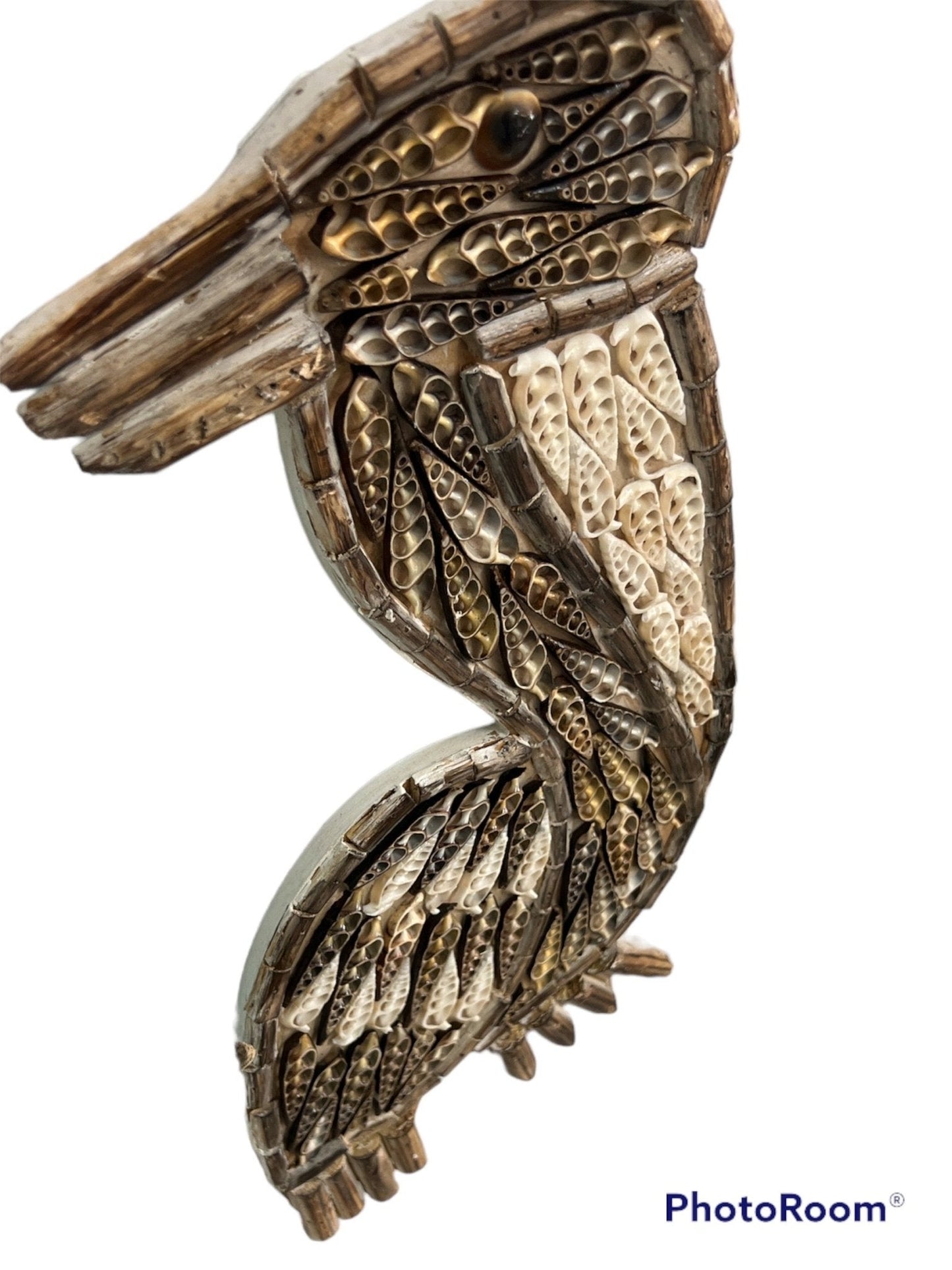 Pelican Shell Wall Art