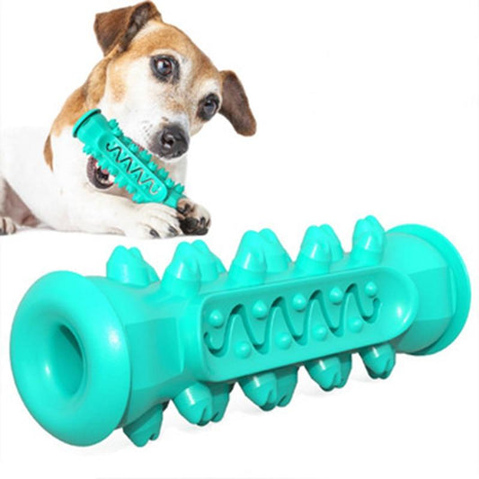 Chewing Toy for Dogs | Family Pet | Kitchen + Metal