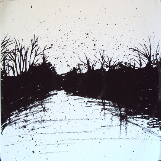 Hospice (VINYL) | Near Mint (NM or M-) Mint (M)