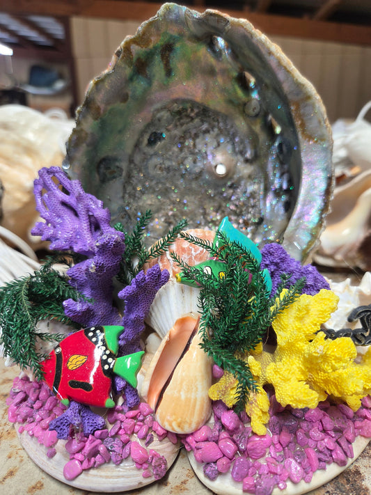 Abalone Shell & Colored Coral with Fish novelty/ light