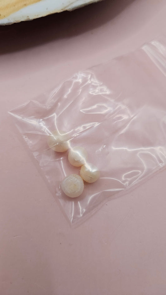 Fresh Water Clam Shell with Pearls and Loose Pearls – Display Shell 6.5"