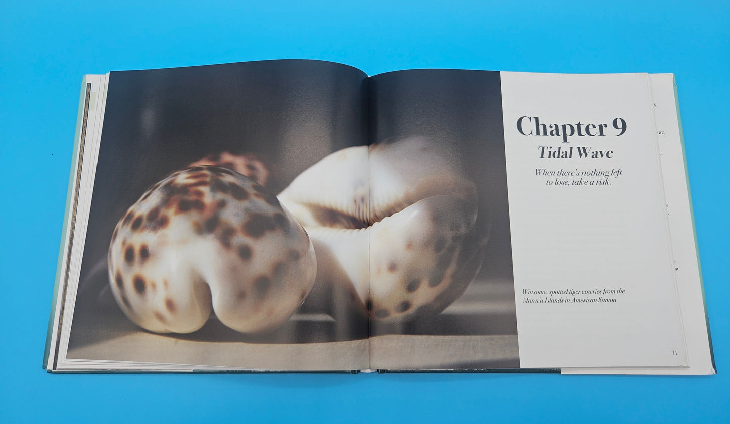 A Beachcomber’s Odyssey: Treasures from a Collected Past – S. Deacon Ritterbush, Ph.D. (2008, First Edition, Hardcover, Signed Copy)