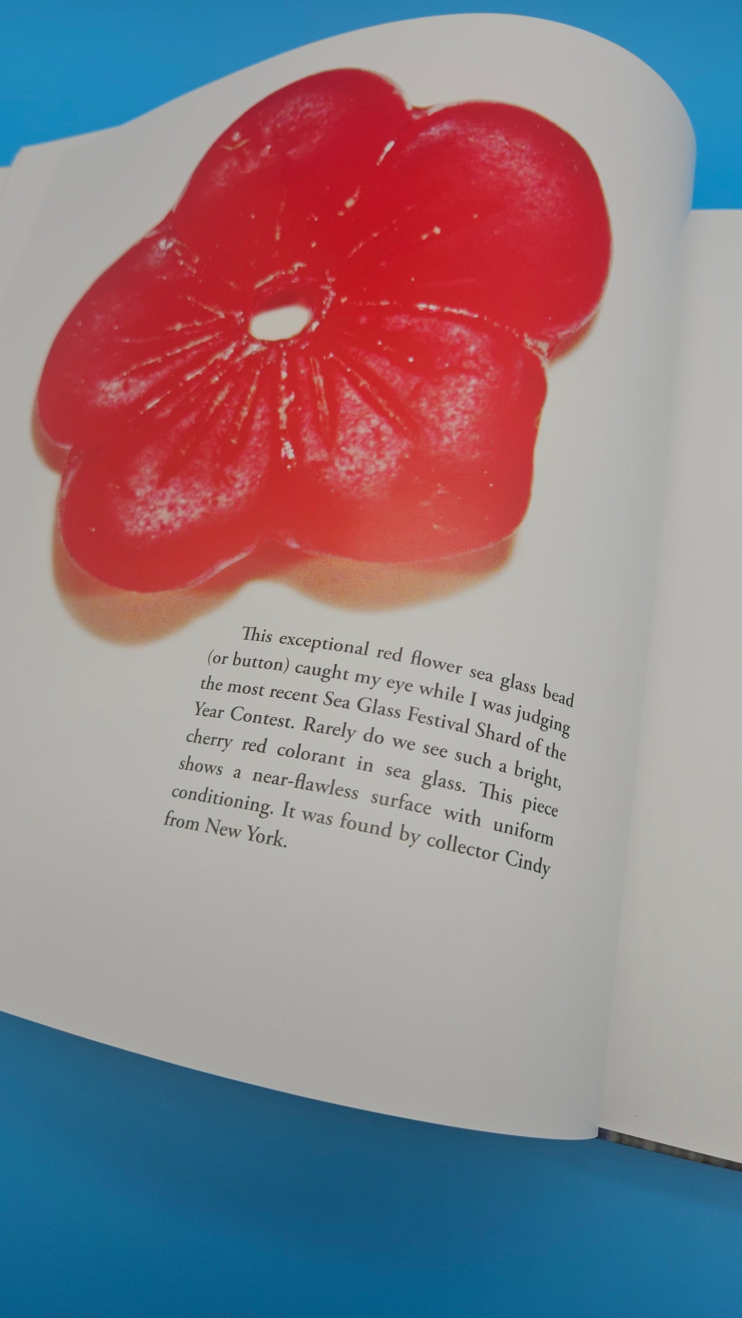 The Ultimate Guide to Sea Glass – 2014 Hardcover by Mary Beth Beuke