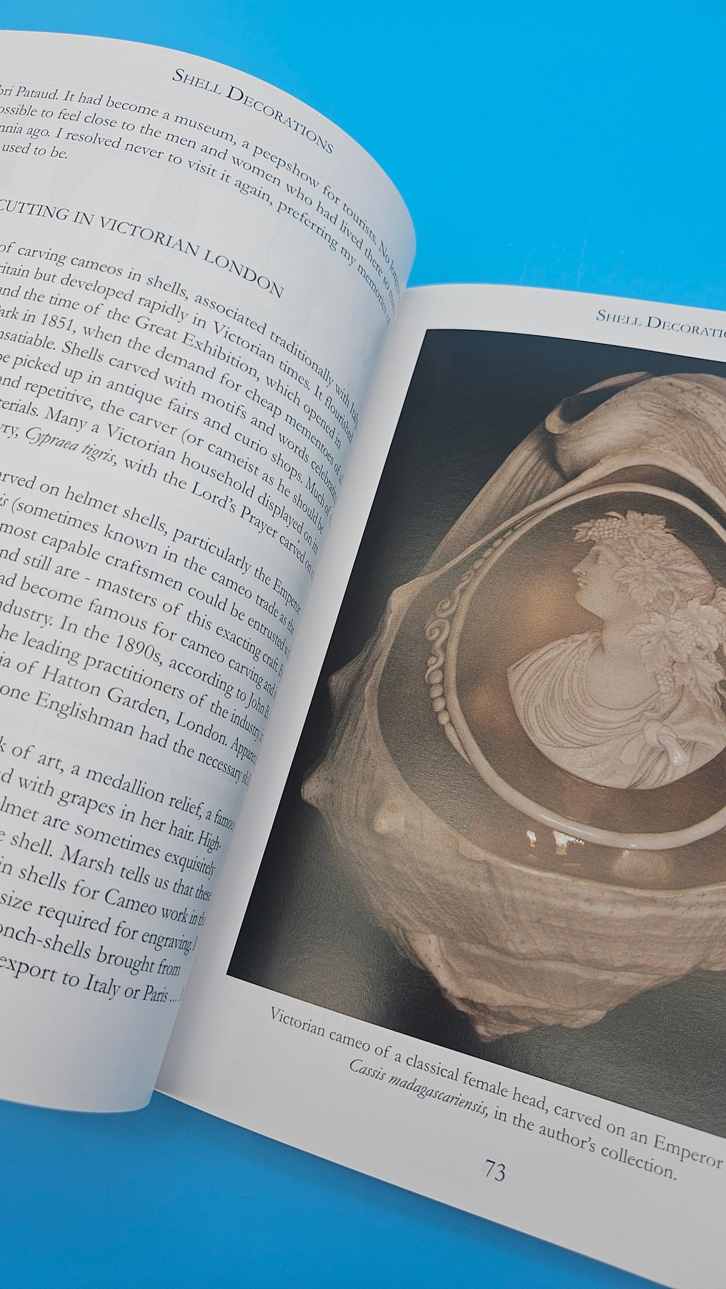 Out of My Shell – S. Peter Dance (2005, Softcover)