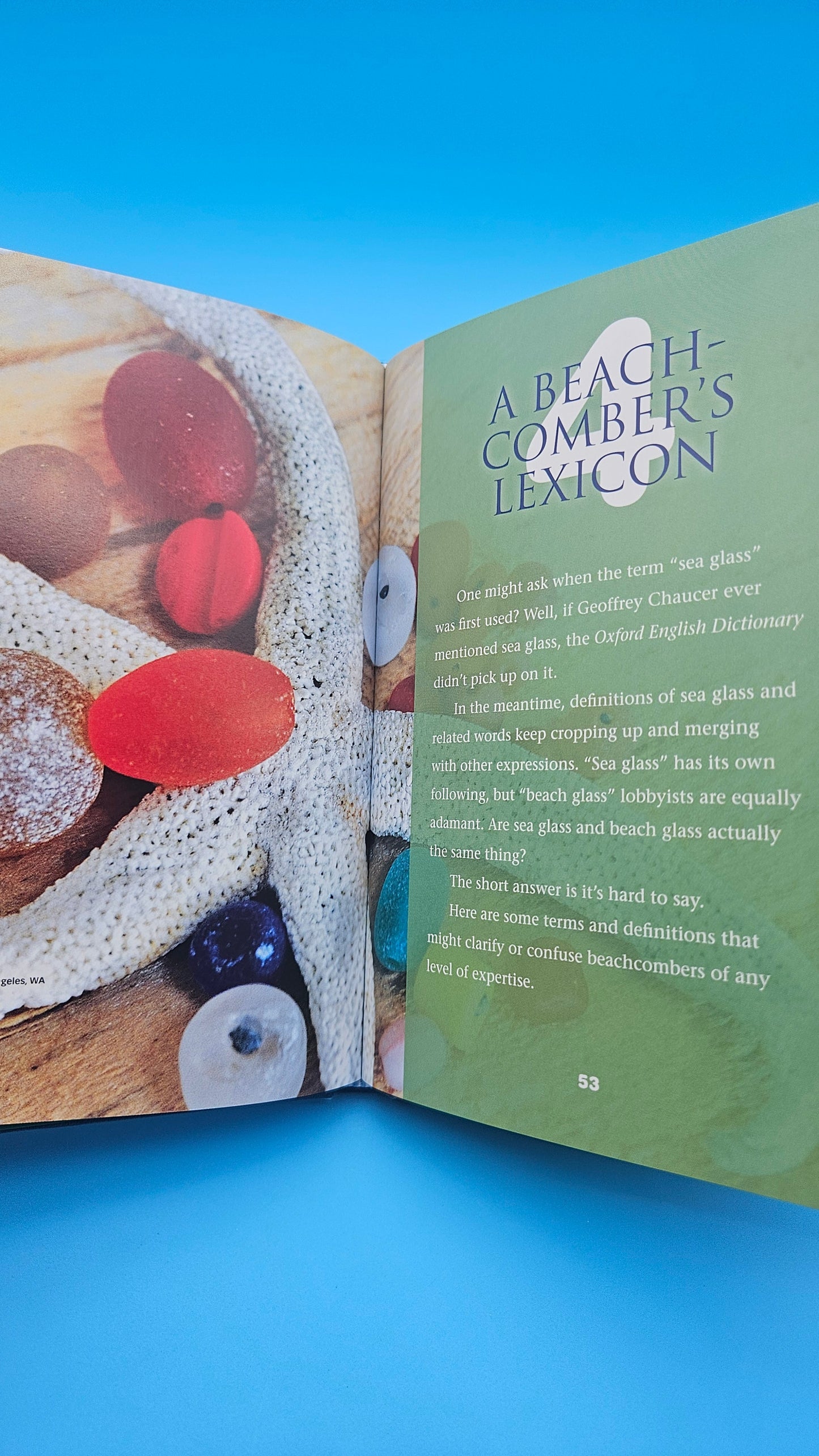 Sea Glass Hunter’s Handbook – C.S. Lambert (2010, Hardcover)