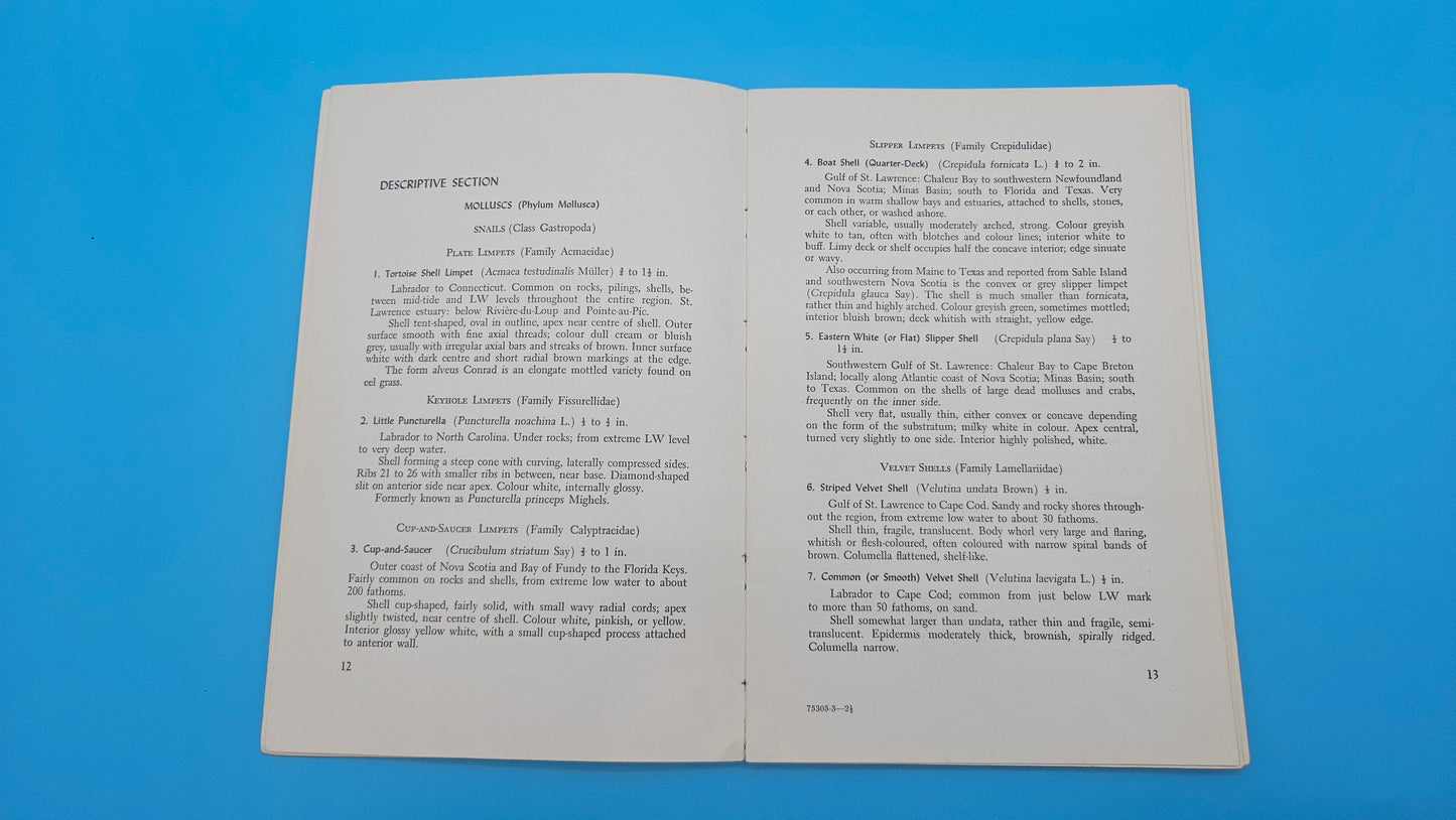 Canadian Atlantic Sea Shells – E.L. Bousfield (1960, Softcover)