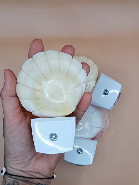 Polished Clam Shell LED Night Light