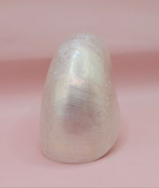 Polished Pearl Nautilus Shell – Elegant Ocean Décor (3.75")