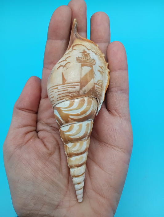 Carved Tibia Shell with Lighthouse Scene – 4.7"