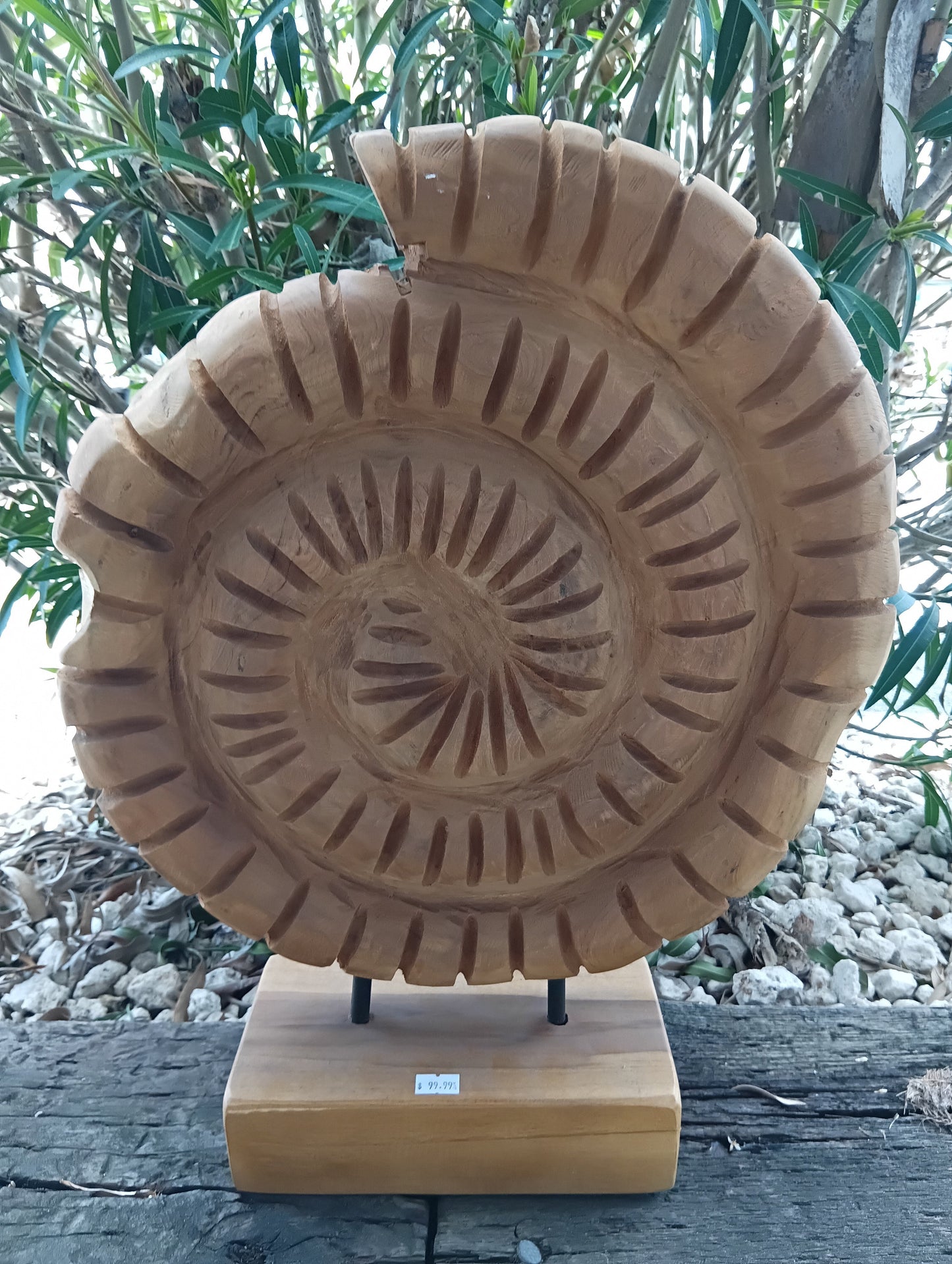Wooden Ammonite Fossil Sculpture – Coastal Carved Spiral Décor on Stand