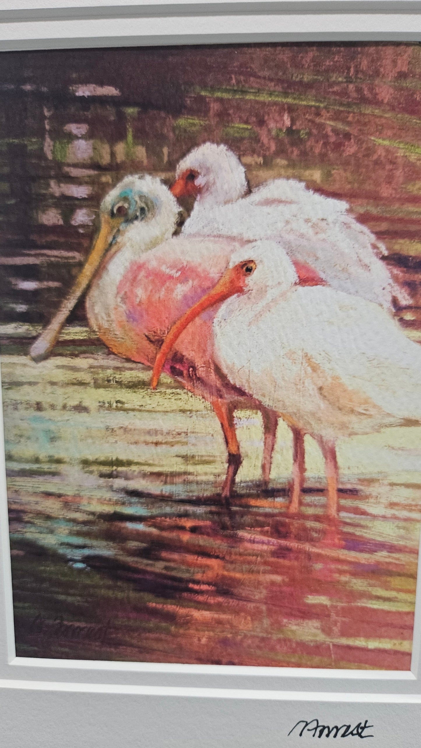 Roseate Spoonbills and Ibis Matted Wildlife Art Print – 11x14