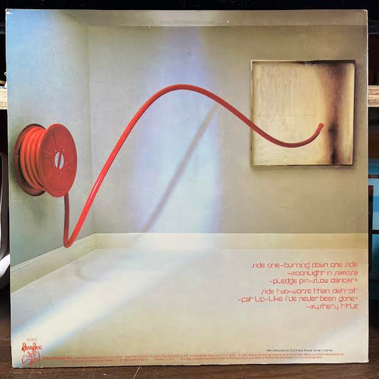 Pictures At Eleven (VINYL) | Near Mint- (NM-) Near Mint- (NM-)