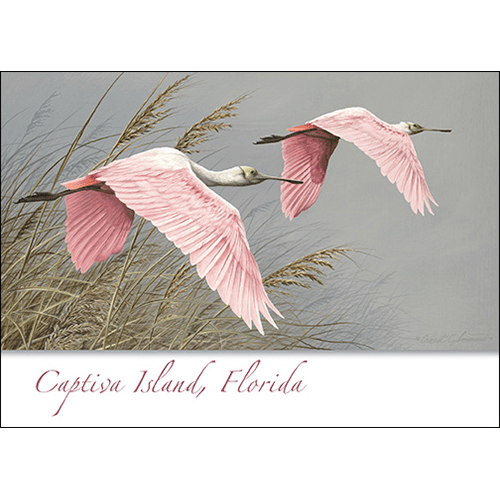 Roseate Spoonbill 5″ x 7″ Greeting Card – Coastal Wildlife Art