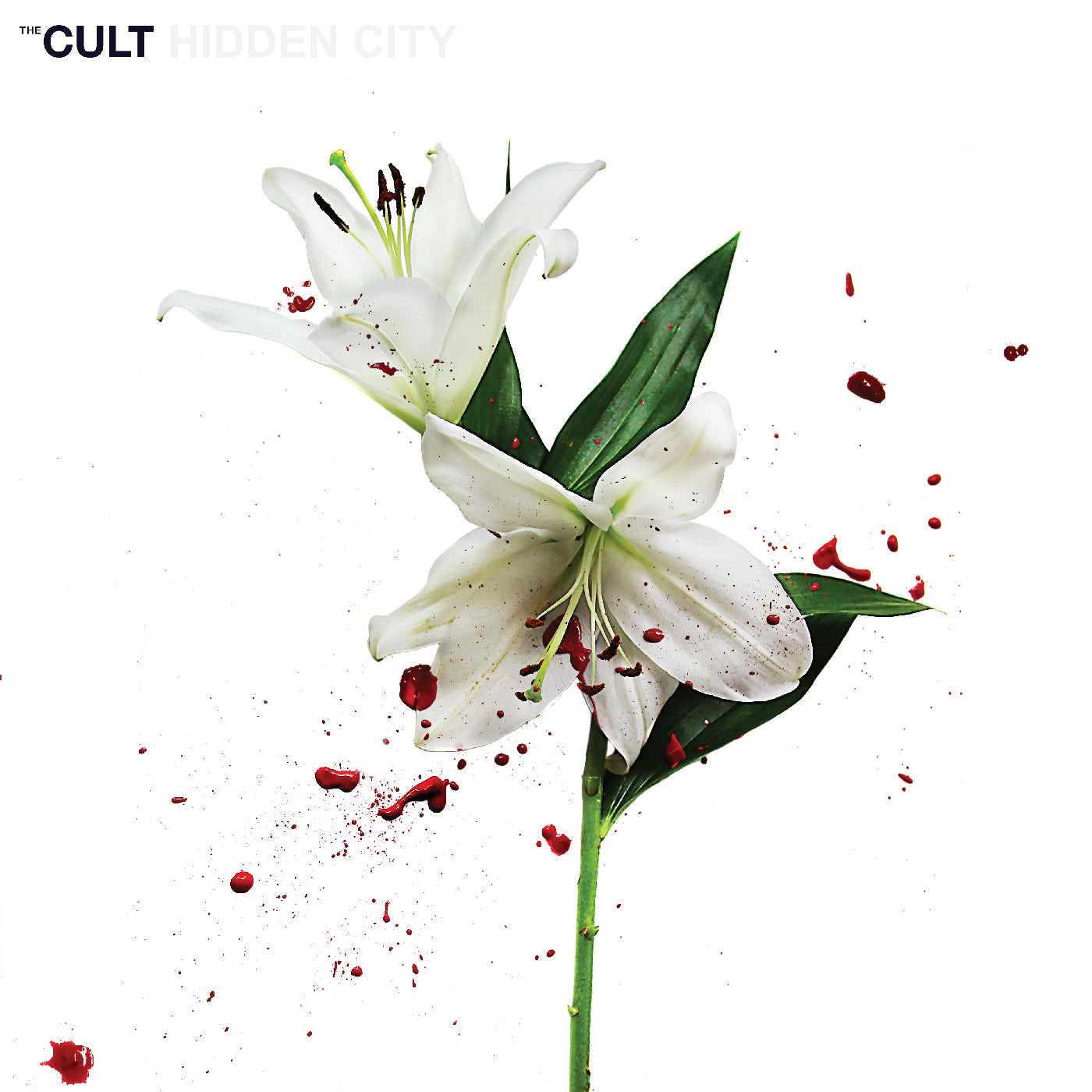 (PRE-ORDER 10/17/25) Hidden City (CV 45 Audiophile Edition 2x VINYL) | Mint (M) Mint (M)