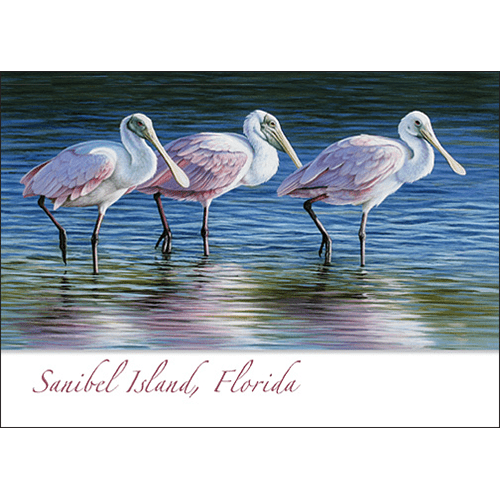 Three Spoonbills 5″ x 7″ Greeting Card