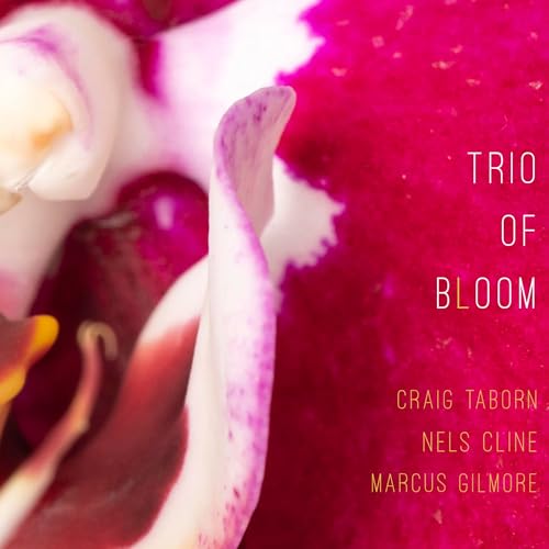 Trio Of Bloom |