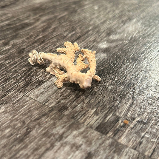 Ultra RARE Vintage Ivory Peach Stylaster Coral- 3.75"x1.5"x1"