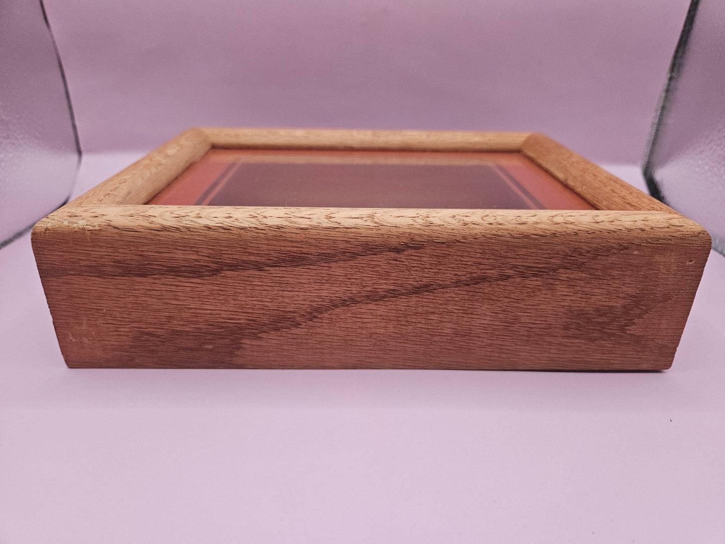 Vintage Shadow Box with Shell Display – 8.5"x6.25"