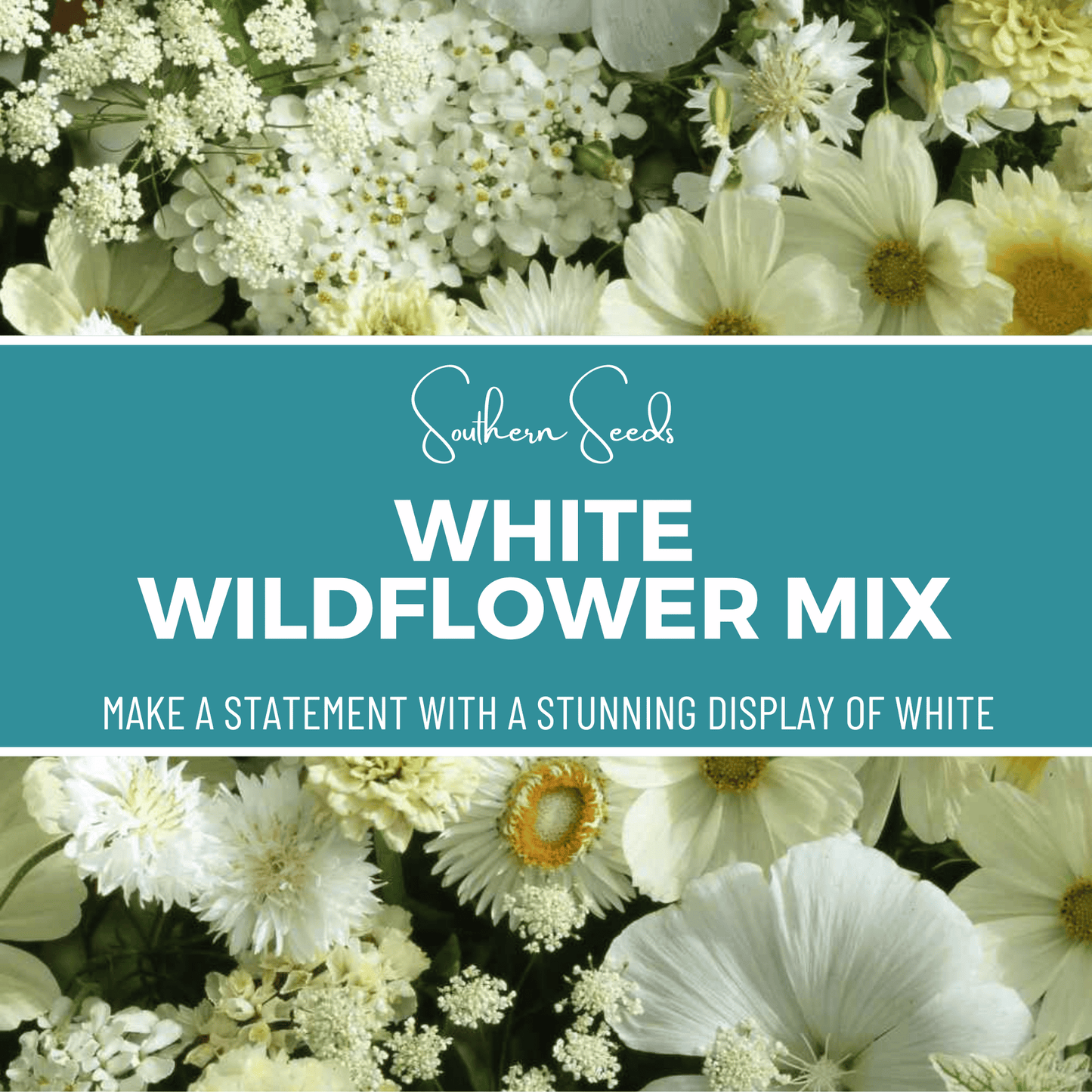 White Wildflower Seed Mix – 100 Seeds