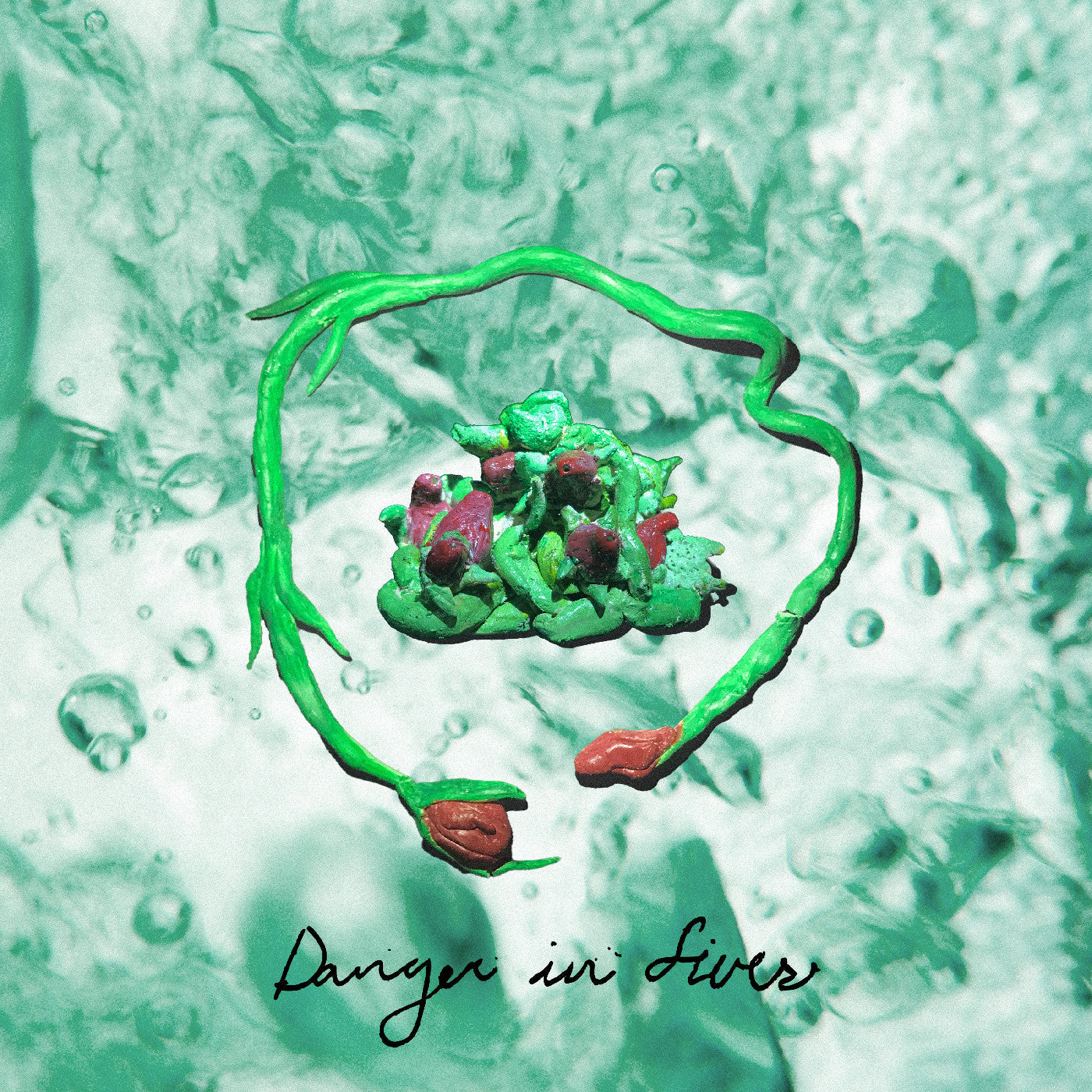 Danger In Fives (CD)