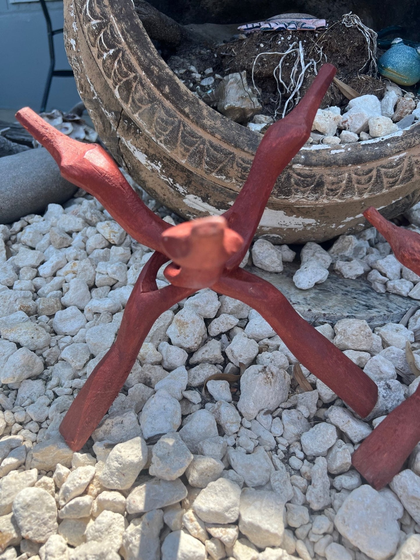 Wooden Display Stand- "Cobra Snake" for Shells, Rocks, Eggs