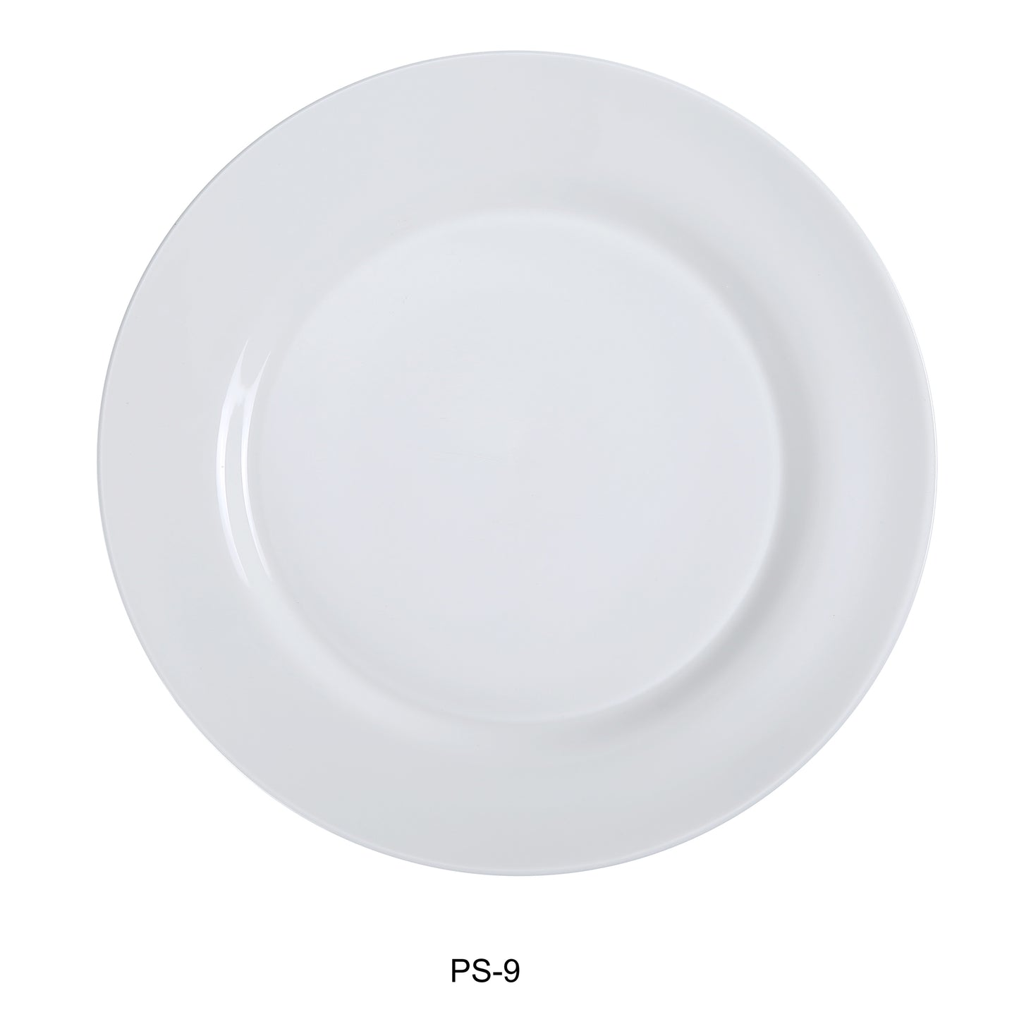 Yanco PS-9 Dinner Plate | Kitchen + Metal