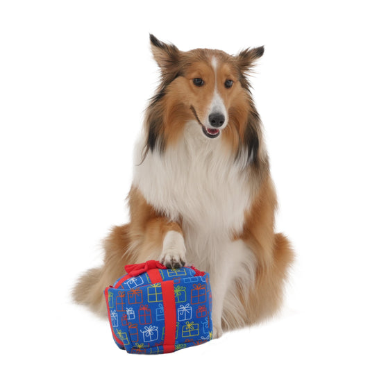 3-in-1 Gift Box - Dog Toy