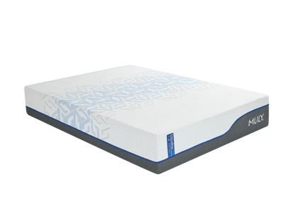 ChiroPro Hybrid Plush Mattress