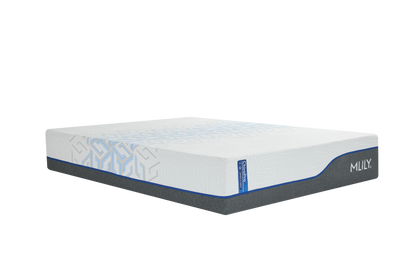 ChiroPro Hybrid Plush Mattress