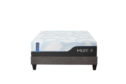 WellFlex Ice Firmer