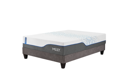 ChiroPro Hybrid Plush Mattress