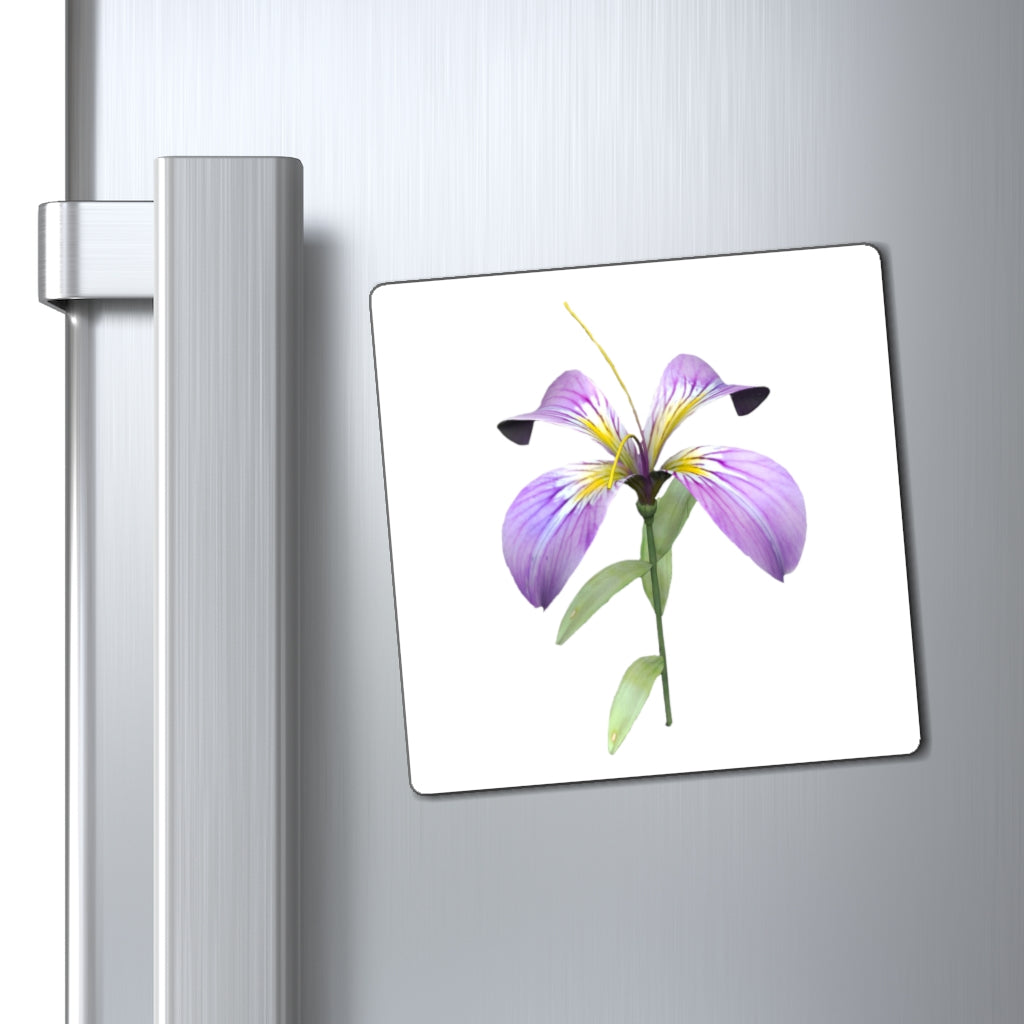 Purple Flower Magnets