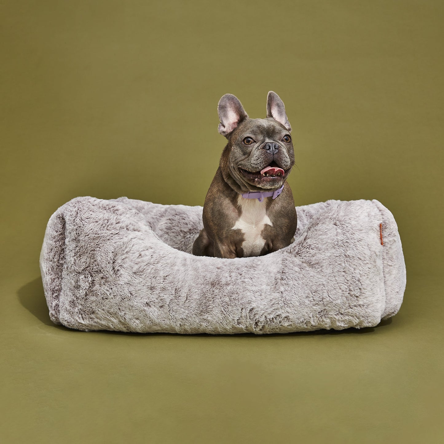 The Sammy Dog Bed