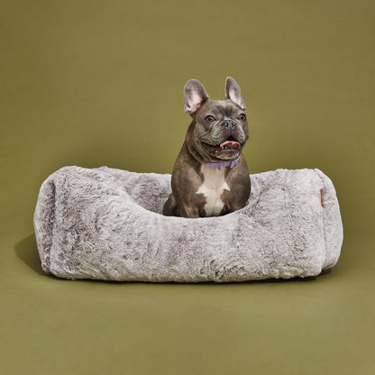 The Sammy Dog Bed