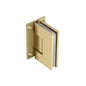 Flusso 10.WGH.5006 Wall To Glass Self Centering Shower Door Hinge