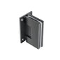 Flusso 10.WGH.5016 Wall To Glass Heavy Duty Self Centering Shower Door Hinge