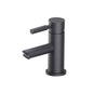 Flusso 100.1000 Single Hole Bathroom Faucet