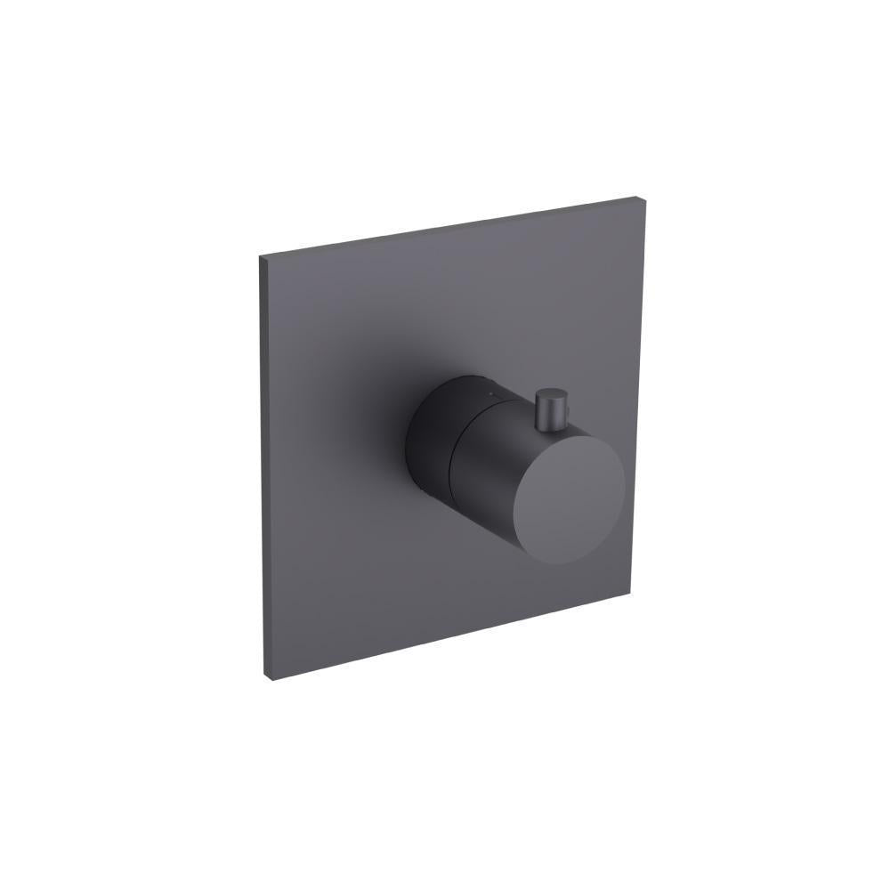 Flusso 100.4201 3/4" Thermostatic Valve With Trim