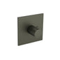 Flusso 100.4201 3/4" Thermostatic Valve With Trim