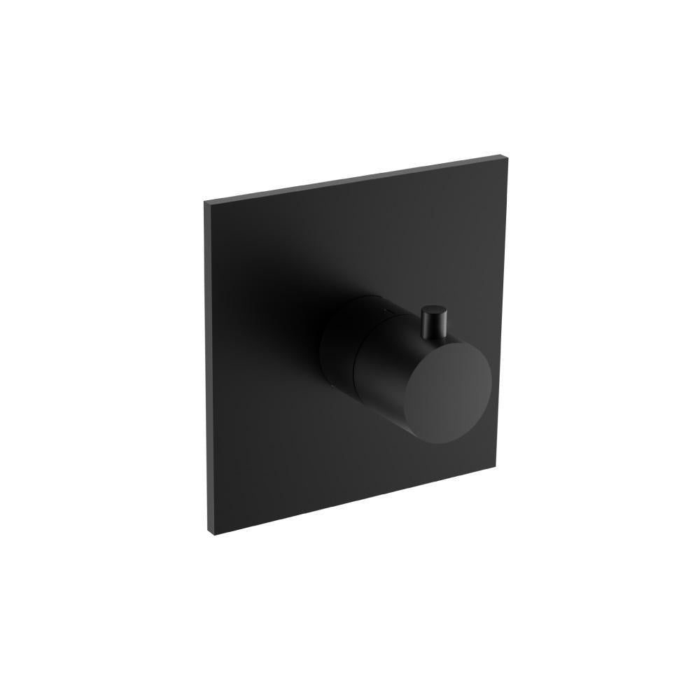 Flusso 100.4201 3/4" Thermostatic Valve With Trim