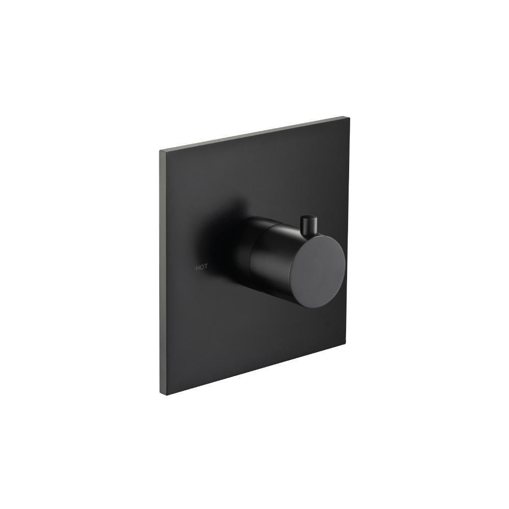 Flusso 100.4201 3/4" Thermostatic Valve With Trim