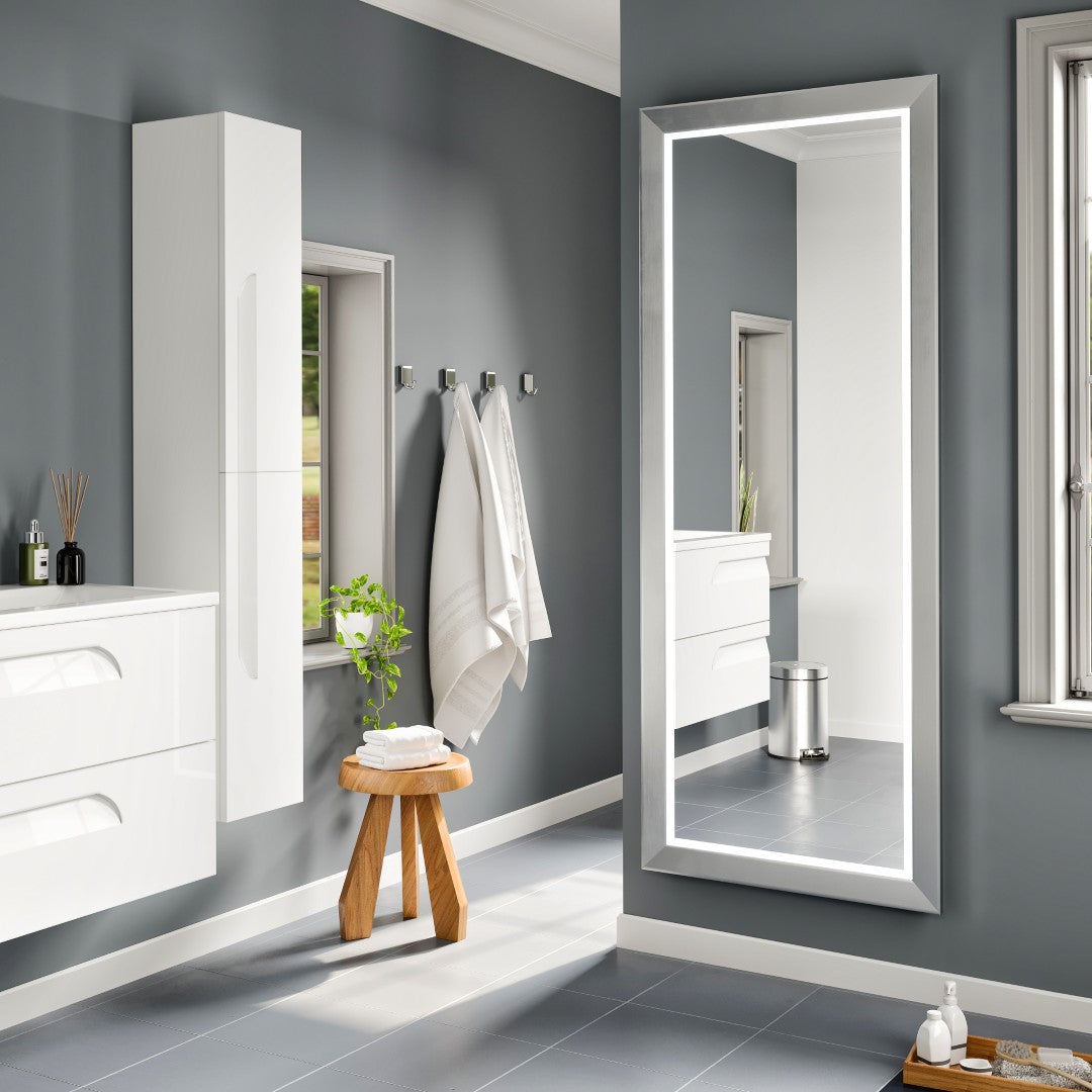 Eviva Sofy 24" x 67" Rectangular Aluminum Aluminum Framed Mirror