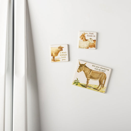 I Wool Always Love You Magnetic Memo Holder Set | 3 Magnets on a Metal