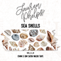 Sea Shells 15mm washi