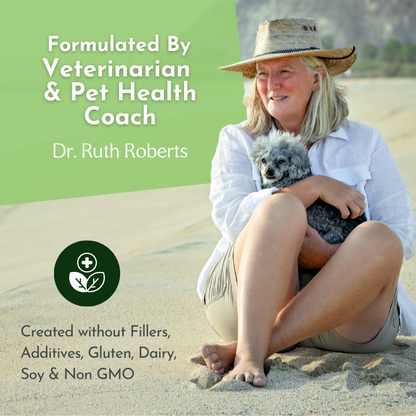 Pre-Order Holistic Total Body Support – Multivitamin & Glandular Support for Dogs and Cats