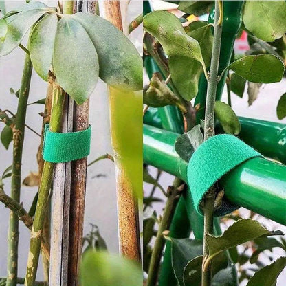 Self-Adhesive Reusable Garden Plant Tie Straps – Hook & Loop Support Tape