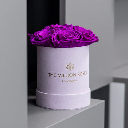 Basic Light Pink Suede Box | Bright Purple Roses