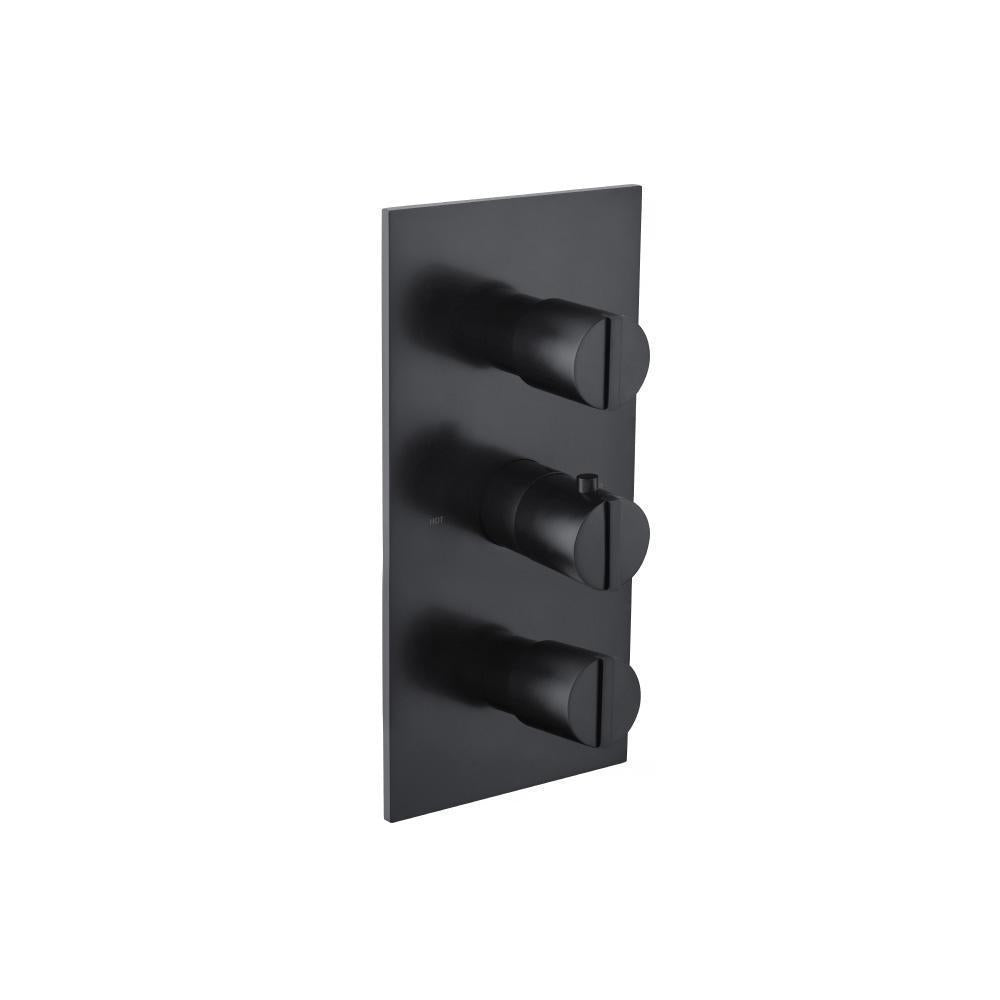 Flusso 145.4401 3/4" Thermostatic Valve and Trim - 2 Outputs