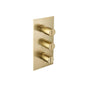Flusso 145.4401 3/4" Thermostatic Valve and Trim - 2 Outputs