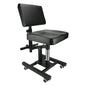 TAIDU FLASH SALE NEW UPGRADED PNEUMATIC TATTOO CHAIR LIFTABLE